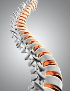 Relation entre mal de dos et colonne vertébrale